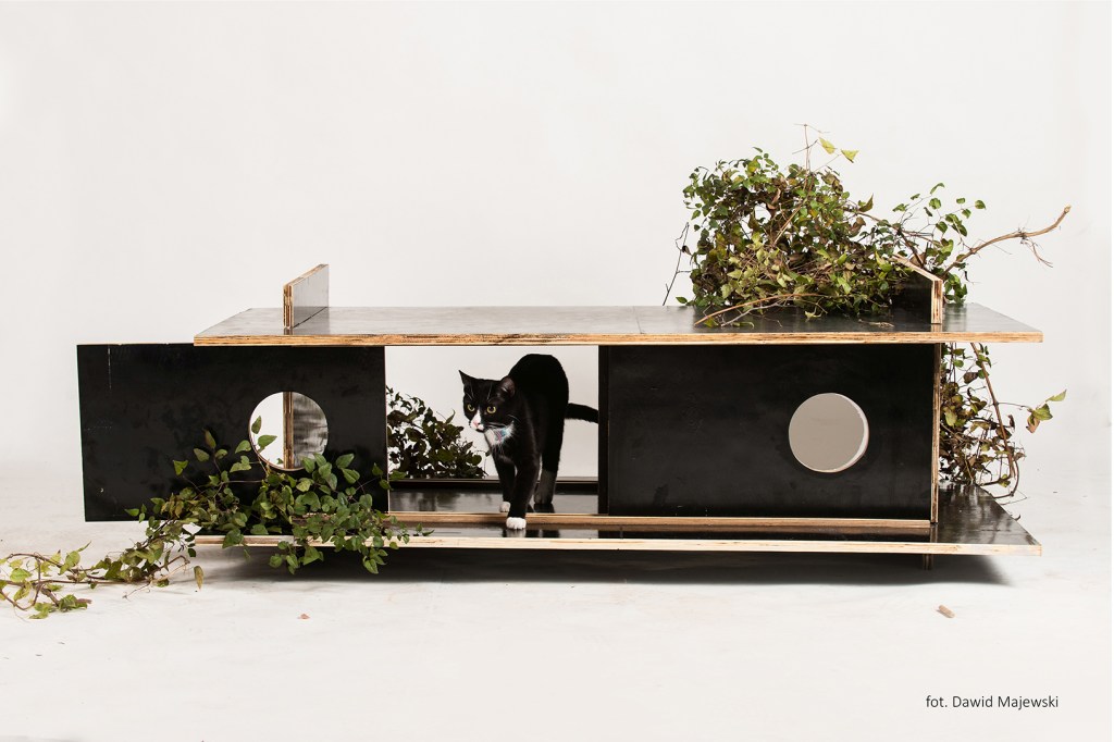 Wpis bez tytułu 400